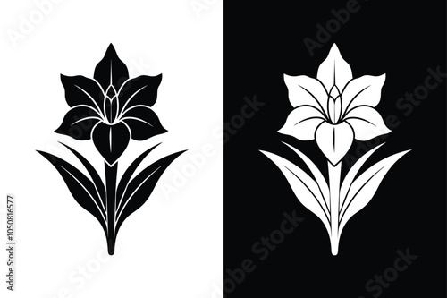 Fotografie Gladiolus flower vector silhouette line art icon on white background