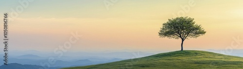 Wallpaper Mural Territorial sovereignty represented by a lone tree on a hilltop, nature theme, serene lighting, expansive view Torontodigital.ca