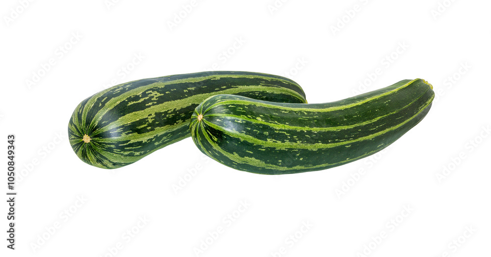 zucchini on white background zucchini on white background