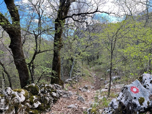 Mountaineering trails on Velebit and in Paklenica National Park (Starigrad, Croatia) - Bergsteigerwege auf dem Velebit und im Nationalpark Paklenica (Kroatien) - Planinarske staze na Velebitu photo