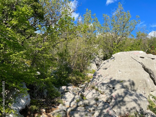 Mountaineering trails on Velebit and in Paklenica National Park (Starigrad, Croatia) - Bergsteigerwege auf dem Velebit und im Nationalpark Paklenica (Kroatien) - Planinarske staze na Velebitu photo