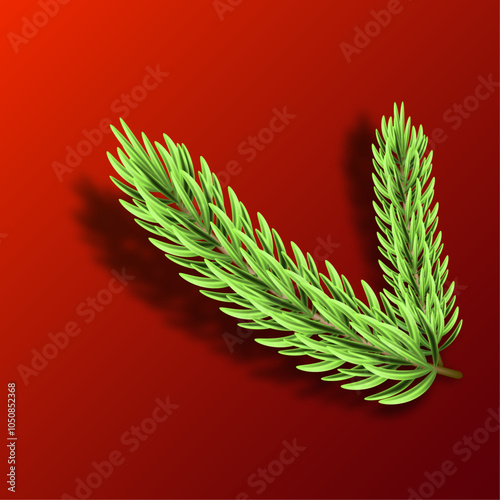 christmas tree branch, pine lea, green wheat ears, ears of wheat, ears isoled on white, green wheat ears vectrörel, green wheat earsillustrator, red wheat ears jpeg & gree png