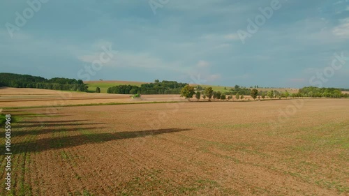 Agricultural combine harvester working on an expansive golden wheat field during a bright sunny day.