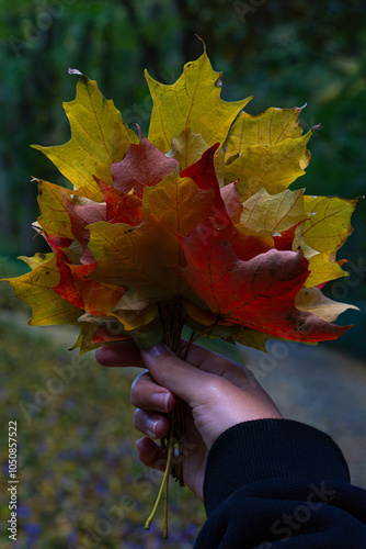 Hand holding a bouquet of vibrant autumn leaves, showcasing shades of yellow, red, and orange against a blurred forest background.