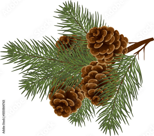 Fir tree branch with hanging cone . Green pine with cones. Forest. Christmas decor. Christmas decoration. Eps 10