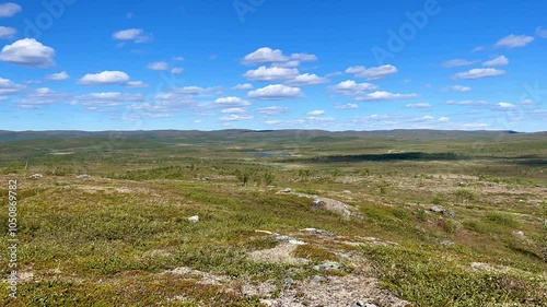 Timelapse over arctic tundra in high lapland during peak summer.