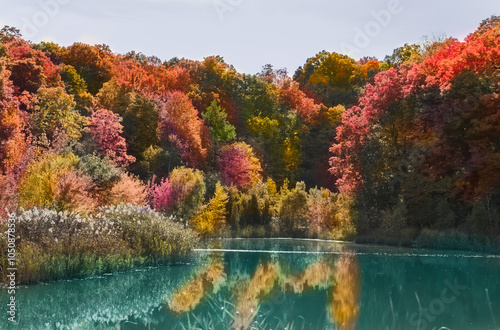 Mesmerizing stunning view of the lake with gorgeous colorful forest,trees on sunny beautiful autumn day photo