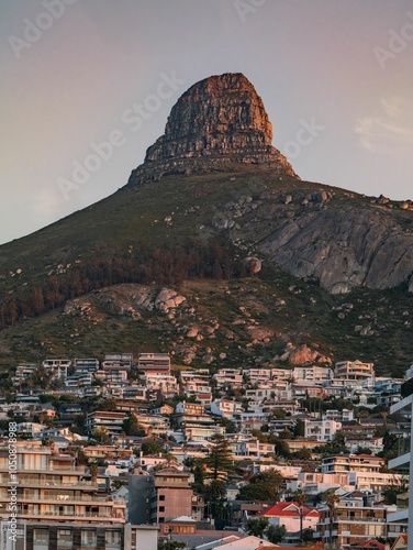 Fototapeta Naklejka Na Ścianę i Meble -  Lion's Head and Cape Town at Sunset