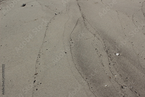 Waves draw the lines on the sand