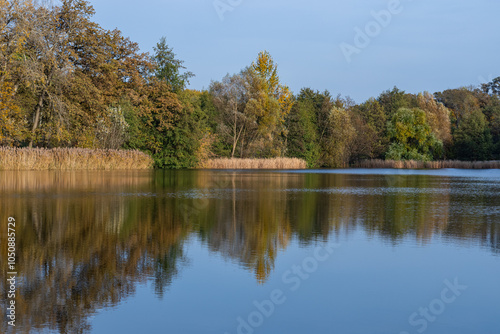 Peaceful autumn lake with reflections of colorful trees and reeds under a clear blue sky in a serene natural setting. Calmness, tranquility and beauty of fall landscapes