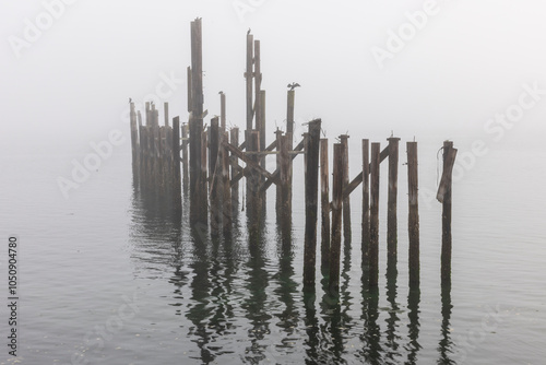 Old piers in the ocean during a foggy morning photo