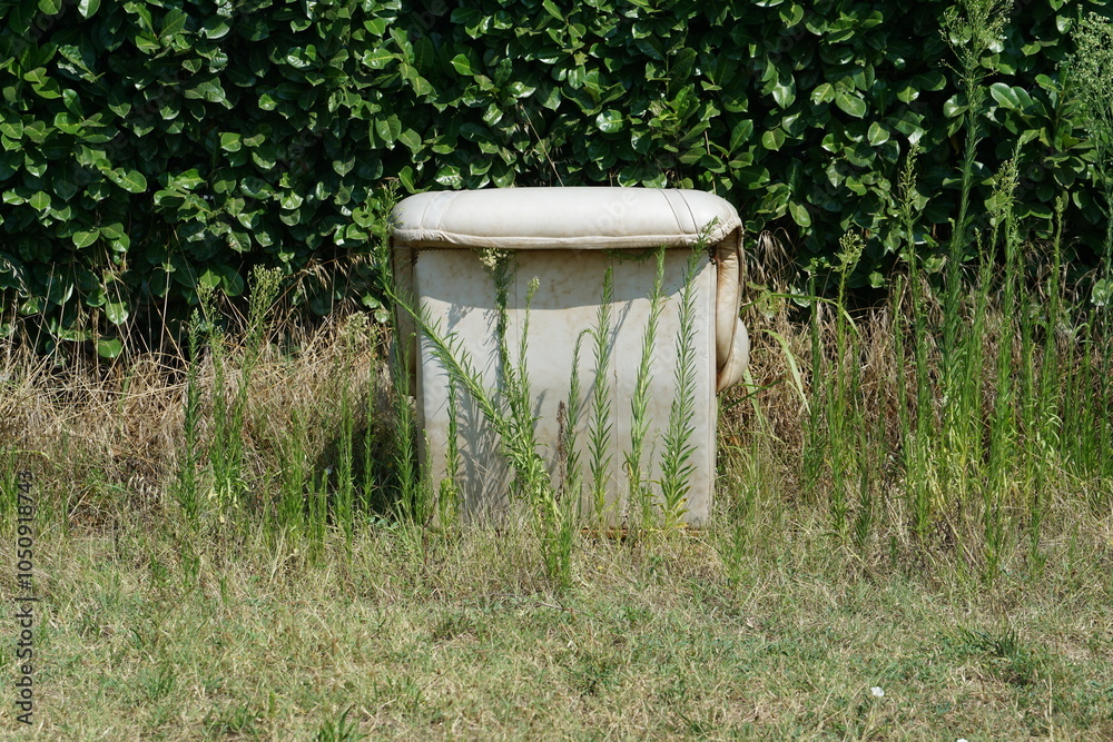 abandoned armchair with grass and green abandoned armchair with grass and green