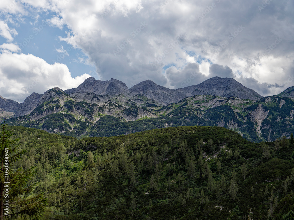 Fototapeta premium View on Triglav National Park, Slovenia