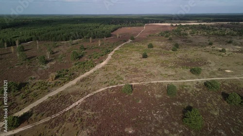 view from the top of the hill