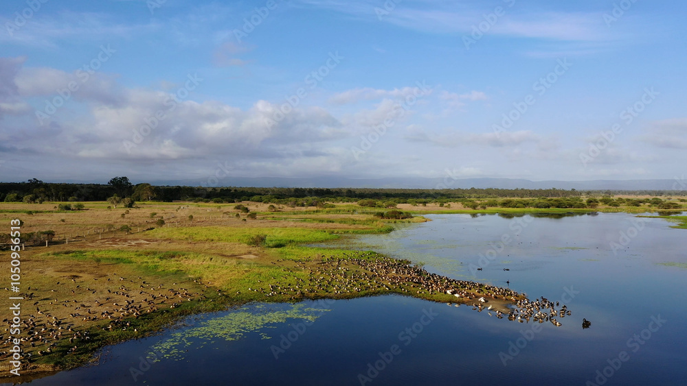 Aerial drone landscape view of St Lawrence wetland in Queensland Australia