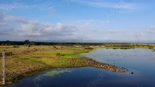 Obraz na płótnie Aerial drone landscape view of St Lawrence wetland in Queensland Australia w salonie