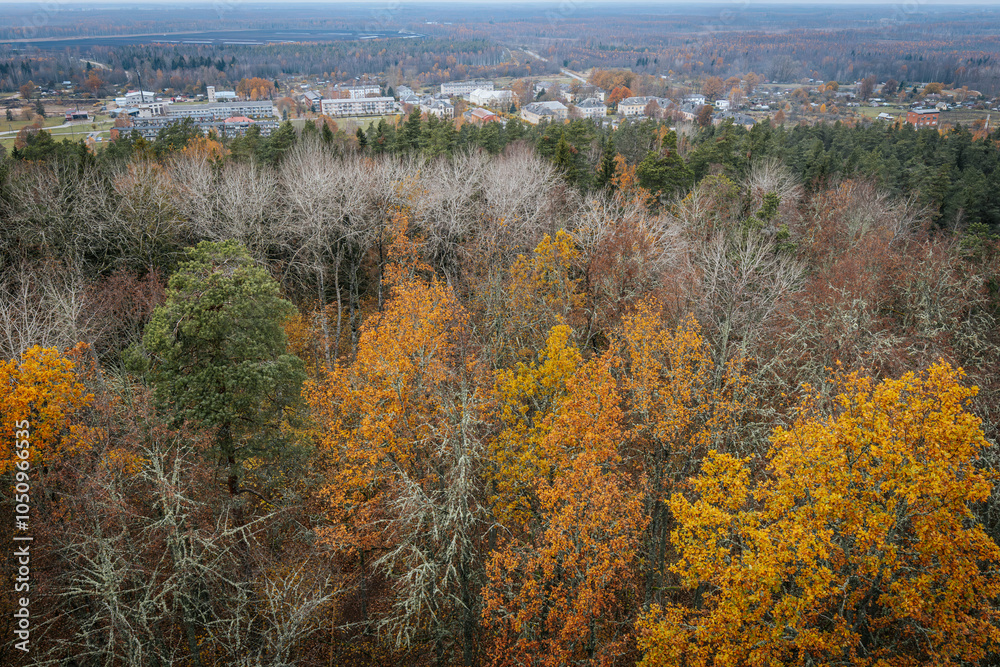 Aerial view of a small town nestled within a vast autumn forest, with trees displaying vibrant orange and yellow foliage. The town's buildings blend into the natural landscape. Zilaiskalns Aerial view of a small town nestled within a vast autumn forest, with trees displaying vibrant orange and yellow foliage. The town's buildings blend into the natural landscape. Zilaiskalns