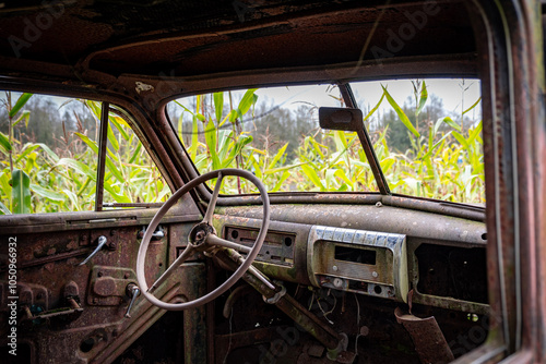 Corn maze car