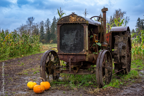 Tractor in Pumpkin Patch