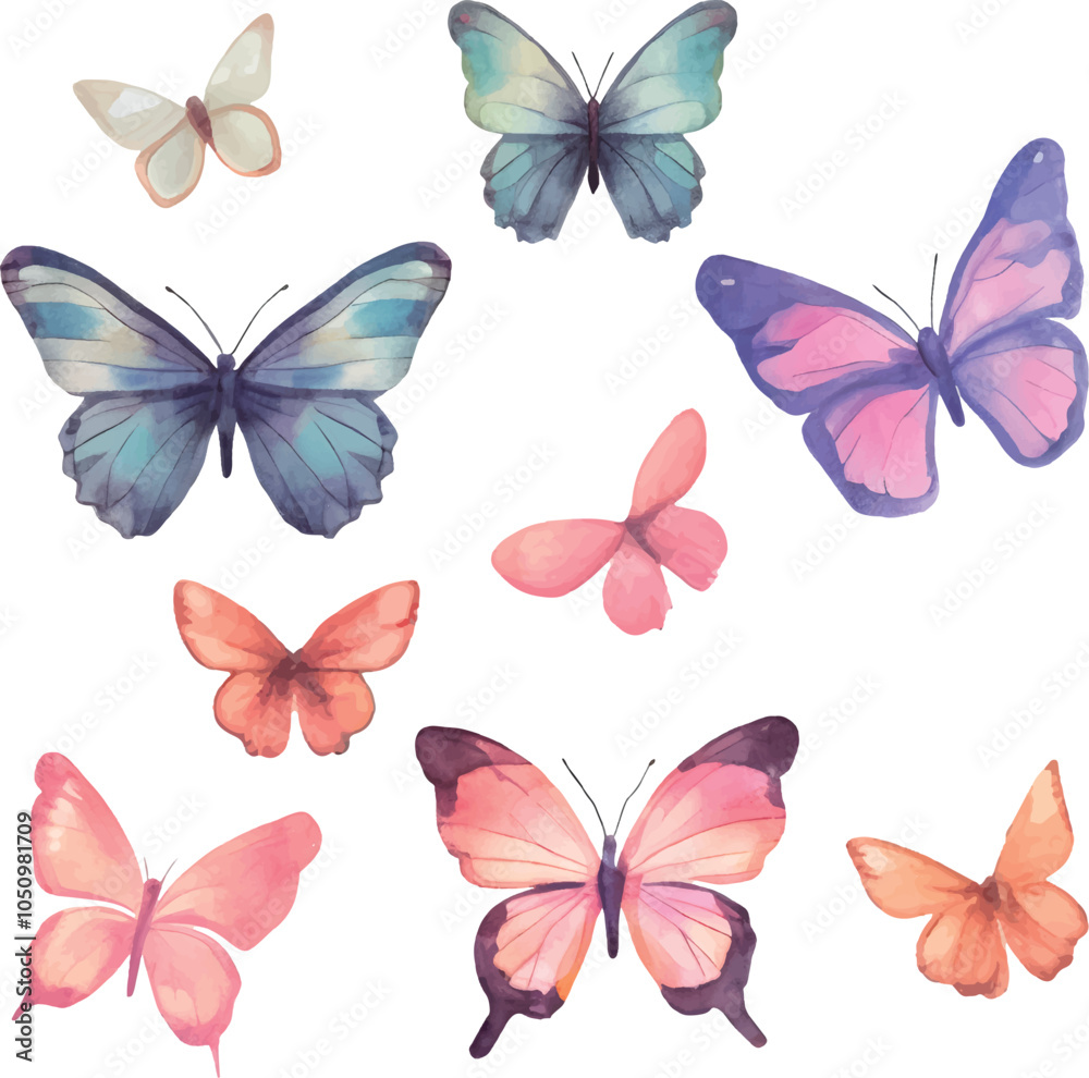 collection of butterflies collection of butterflies