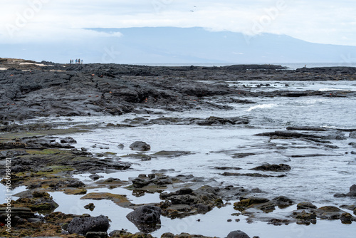 Galapagos landscape with ocean and tidepools, with tourists observing in the distance
