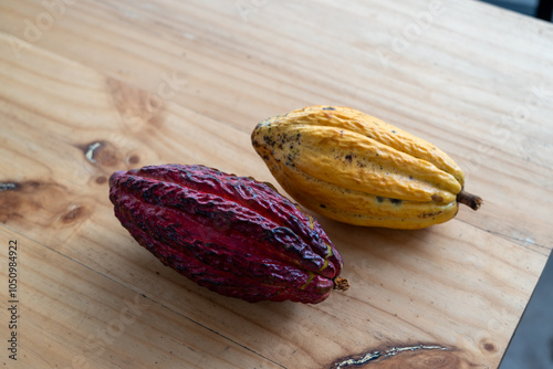 Wallpaper Mural Red and yellow cacao pods next to one another on a rustic wooden table Torontodigital.ca