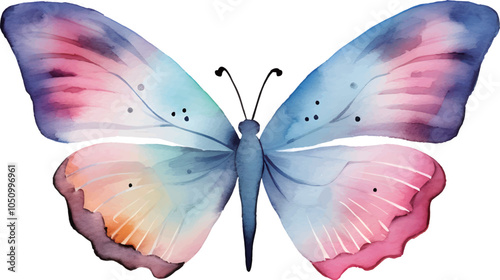 butterfly isolated on white