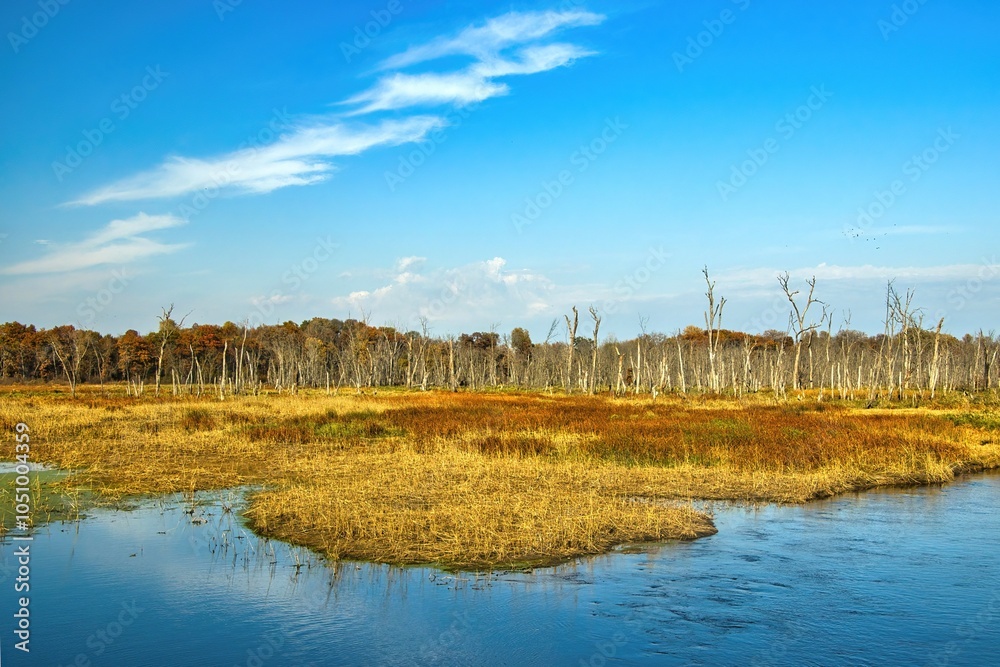 Sunny Autumn landscape of a Mississippi River backwater along the Great River State Trail near Trempealeau, Wisconsin. Sunny Autumn landscape of a Mississippi River backwater along the Great River State Trail near Trempealeau, Wisconsin.