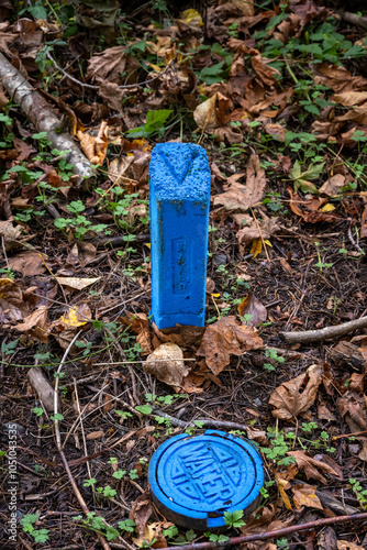 Water pipe utility access point, round iron lid, on the forest floor and marked by a cement post, Kirkland Watershed Park
 photo