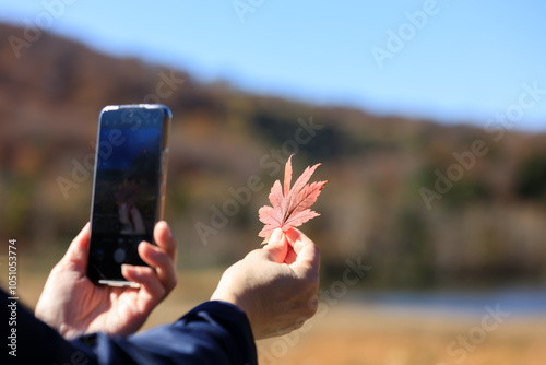 紅葉　葉　スマートホンで撮影している女性　イメージ