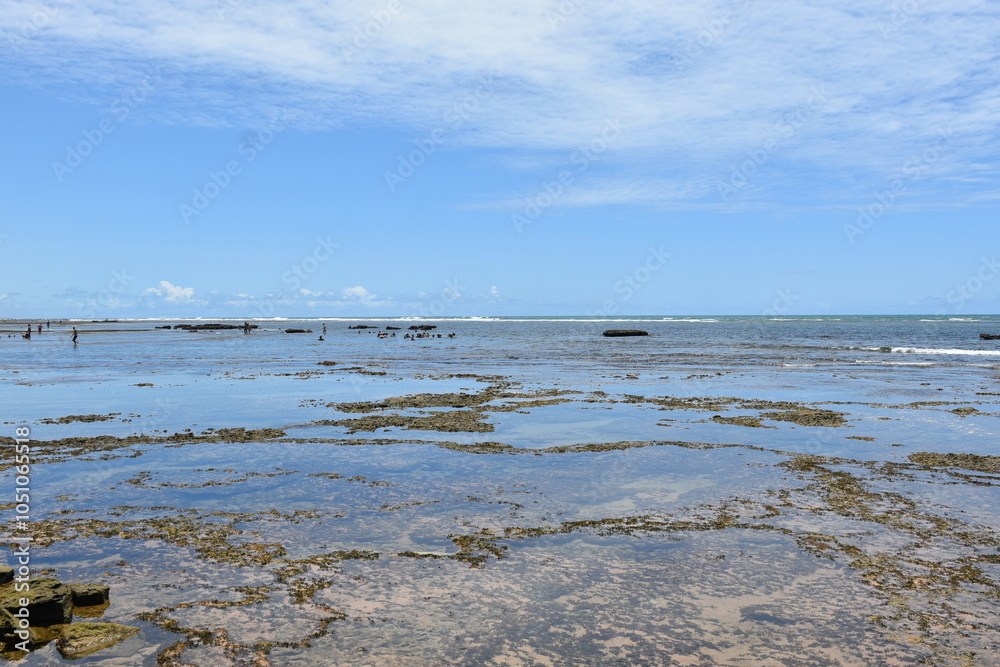 Fototapeta premium praia do forte - bahia