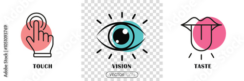 Human sense icons. three human senses icons. Vision, touch, taste, senses fillings. three fillings icon in trendy flat style isolated on transparent background. Vector Illustration.