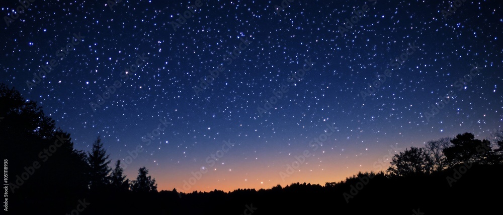 Naklejka premium A Night Sky Filled with Stars and Silhouetted Trees
