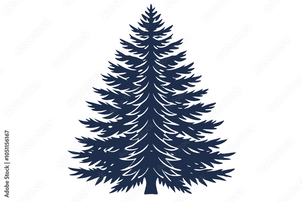Obraz premium Evergreen pine tree isolated on white background