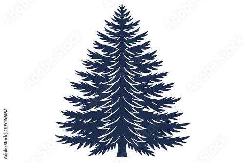 Evergreen pine tree isolated on white background