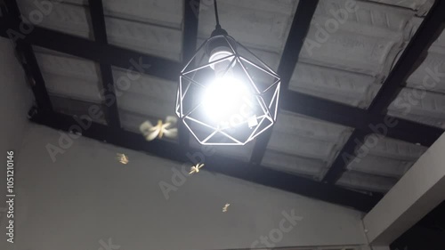 Flying termites or swarmers or Alate fly around the home chandelier at night. photo