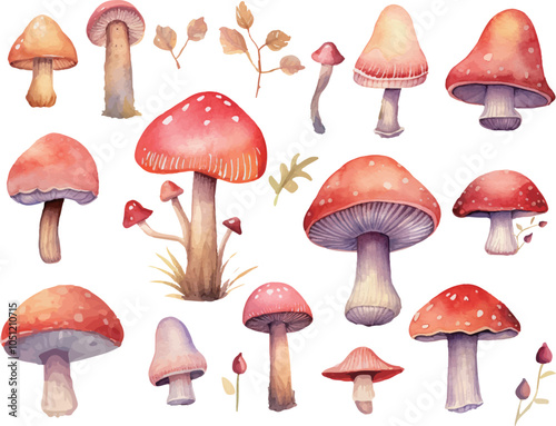 mushrooms isolated on white