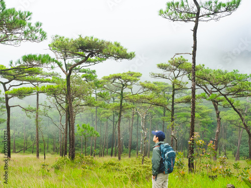 Solo hiker with backpack is trekking through misty tropical forest trail surrounded by lush greenery in Phu Soi Dao National Park, Thailand.