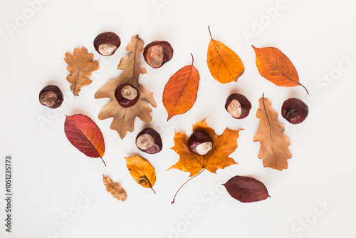 Autumn holiday frame composition with dry leafs and chestnuts on white backround. Creative layout pattern, Thanksgiving day flat lay, Halloween. Eco zero waste concept. Top view, place for text banner photo