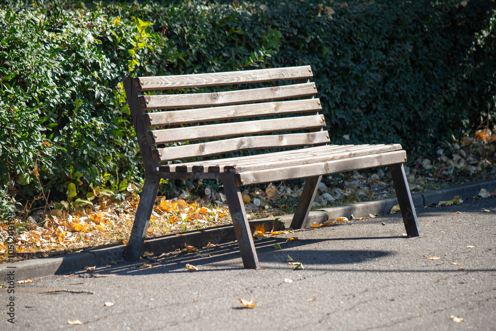 A wooden bench is sitting on a sidewalk in front of a bush A wooden bench is sitting on a sidewalk in front of a bush