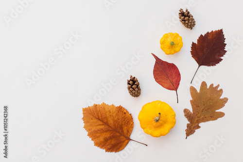 Autumn holiday frame composition with pattern made of leaf, punpkins, dried orange, pine cone on white wooden background. thanksgiving day, halloween eco zero waste concept. Minimal flat lay, top view photo