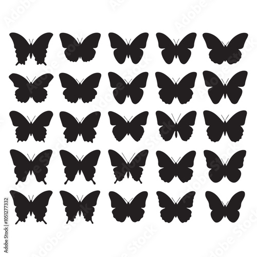 butterfly's silhouette