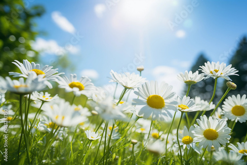 Sunlit Meadow Adorned with a Daisy Chain, Showcasing the Simple Beauty of Cheerful Flowers – Generative AI