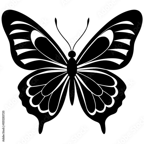butterfly illustration