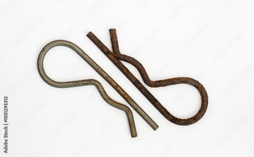 Obraz premium Federstecker