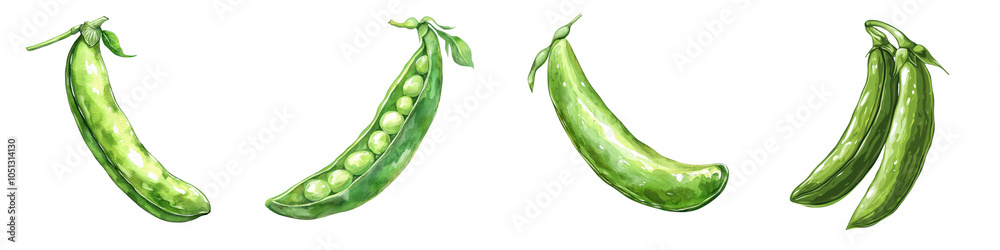 Close up of fresh organic green pea pods on a clean white backdrop The peas are vibrant and ready for a healthy nutritious meal or recipe Close up of fresh organic green pea pods on a clean white backdrop The peas are vibrant and ready for a healthy nutritious meal or recipe