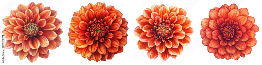 Magnificent Dahlia Blooms in Vibrant Hues of Red and Orange Capturing Nature s Captivating Beauty This close up image showcases the intricate and delicate petals of the dahlia flower Magnificent Dahlia Blooms in Vibrant Hues of Red and Orange Capturing Nature s Captivating Beauty This close up image showcases the intricate and delicate petals of the dahlia flower