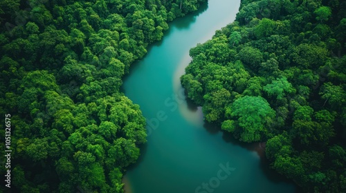 An aerial view of a river winding through a lush green forest.