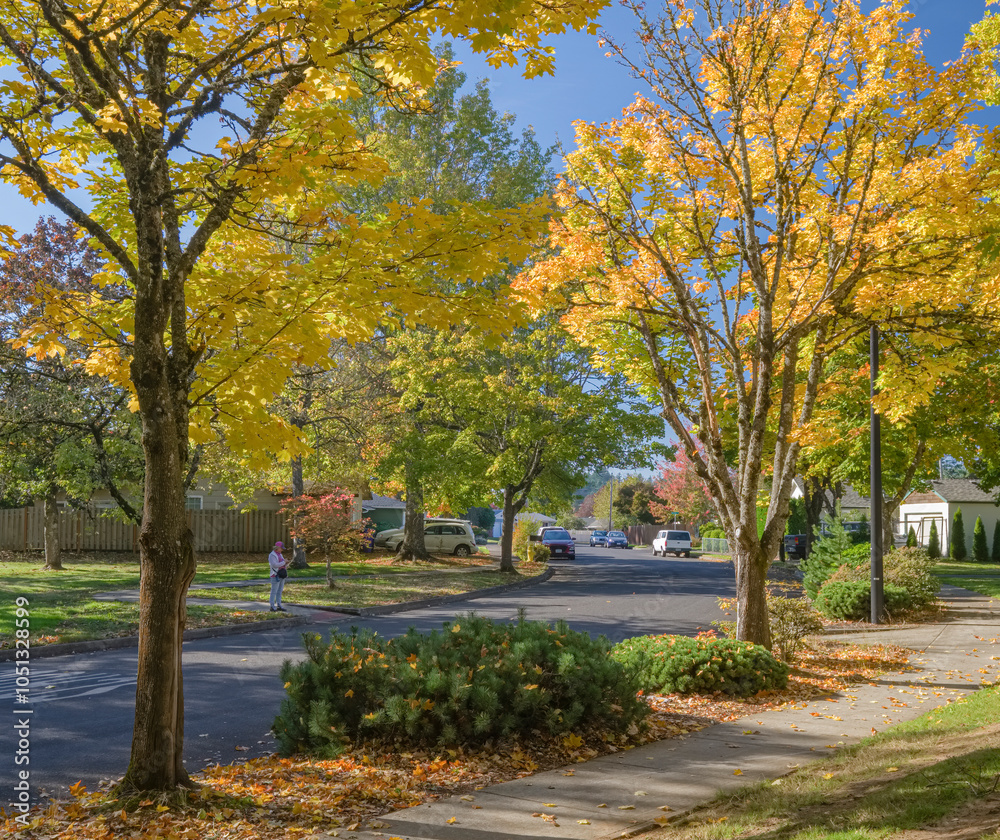 Naklejka premium Autumn in a neighborhood streets Gresham Oregon.