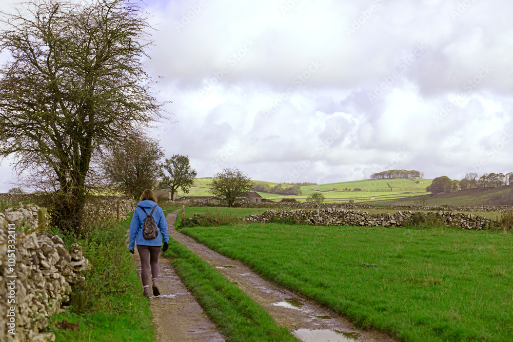 Fototapeta premium Adele walking through Alstonefield farmland.